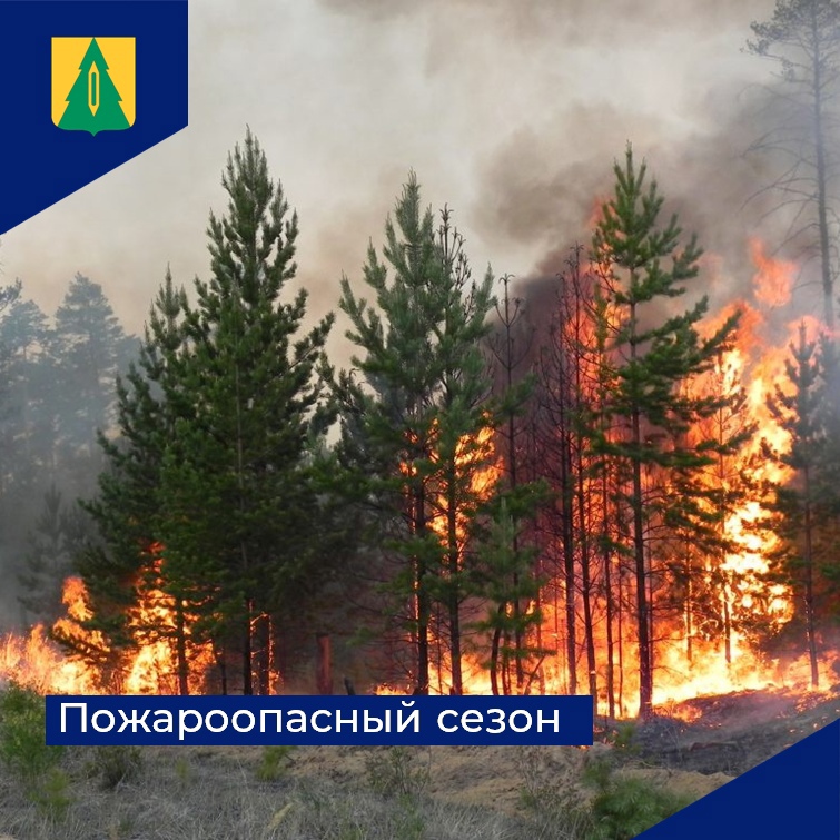 ❗С 3 апреля в лесах Ульяновской области начинается пожароопасный сезон