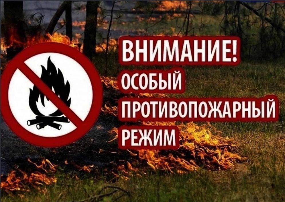 Особый противопожарный режим действует на территории Барышского района с 22 по 31 мая