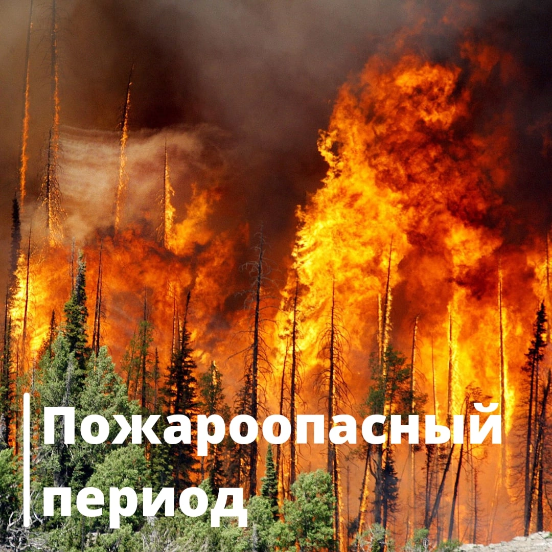Информация о нарушениях пожарной безопасности в Ульяновской области.