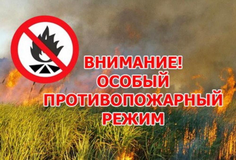 С 28 апреля по 12 мая в Ульяновской области будет установлен особый противопожарный режим.