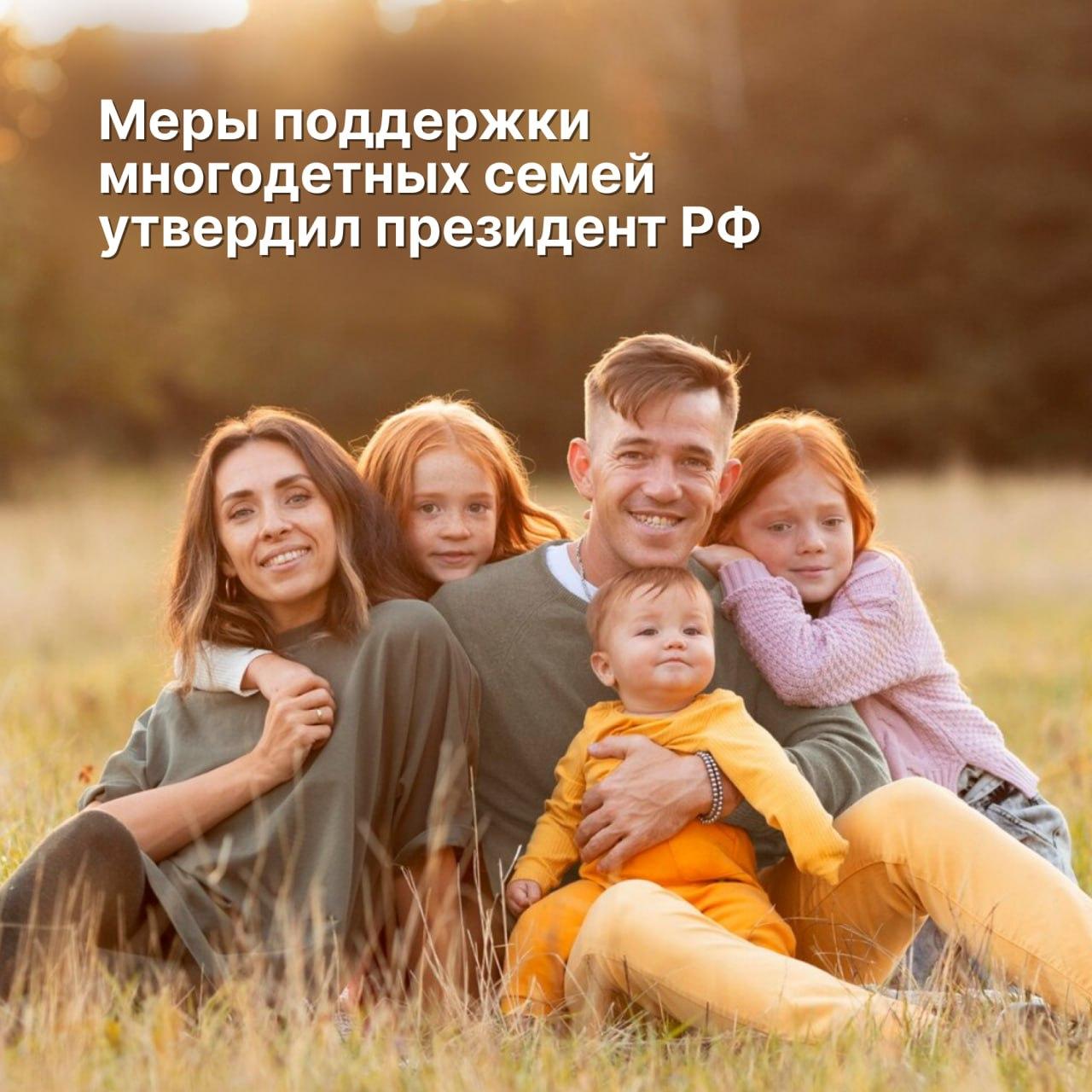 Владимир Путин поддержал введение всероссийского статуса многодетных семей.