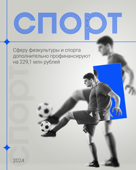 229,1 млн рублей из допдоходов Ульяновской области выделят на физкультуру и спорт.