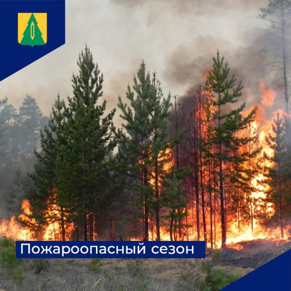 ❗С 3 апреля в лесах Ульяновской области начинается пожароопасный сезон.