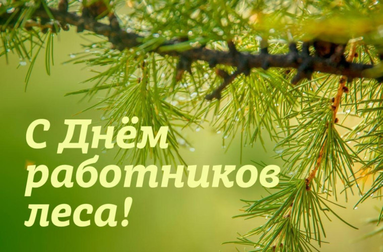 Поздравление губернатора с днем работников леса. Поздравление губернатора с днем работников леса.