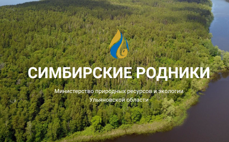 В 2025 году в Ульяновской области благоустроят 20 родников. В 2025 году в Ульяновской области благоустроят 20 родников.