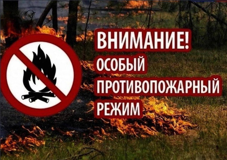 Особый противопожарный режим действует на территории Барышского района с 22 по 31 мая.