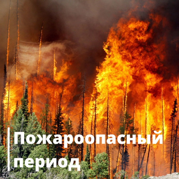 Информация о нарушениях пожарной безопасности в Ульяновской области. Информация о нарушениях пожарной безопасности в Ульяновской области.